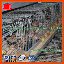 Jinfeng Farm Equipment for Feeding Chicks
